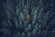 100 Snow Photoshop Brushes, a Brush Add-On by ArtistMef (Thumbnail 5 of 8)