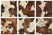 Cowhide Textures Digital Paper, a Texture Graphic by Dream Creation (Thumbnail 4 of 7)