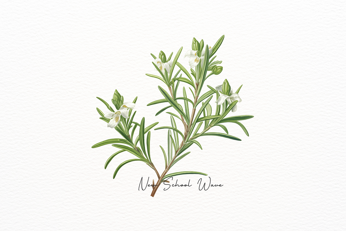 Vintage Pastel Thyme themed Clipart, a Food Illustration by New-School-Wave (Photo 4 of 5)