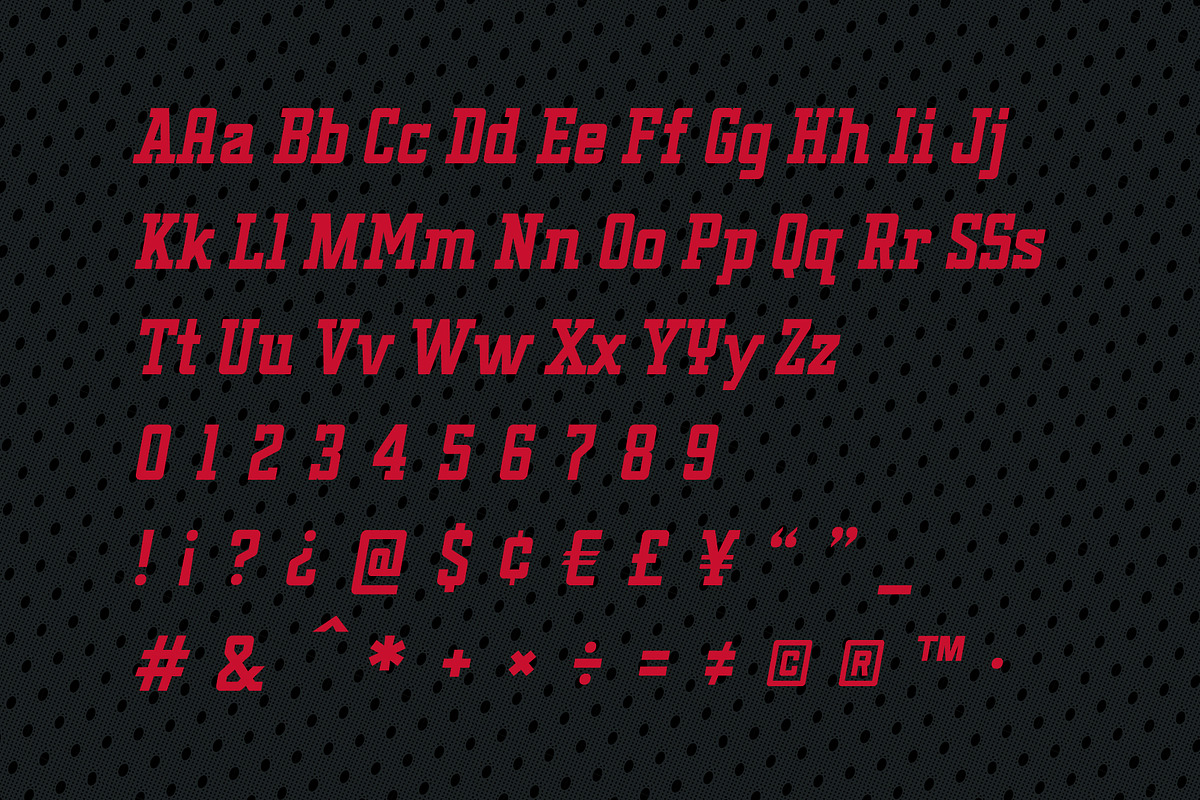 Assembly Slab - Serif Font, a Slab Serif Font by Tim Hankins Design (Photo 3 of 8)