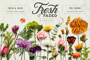 Fresh & Dried Flower Flat Lay, a Product Mockup by Eclectic Anthology (Thumbnail 1 of 8)