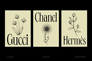 LT Serif - Modern Serif Font, a Serif Font by limitype (Thumbnail 4 of 9)