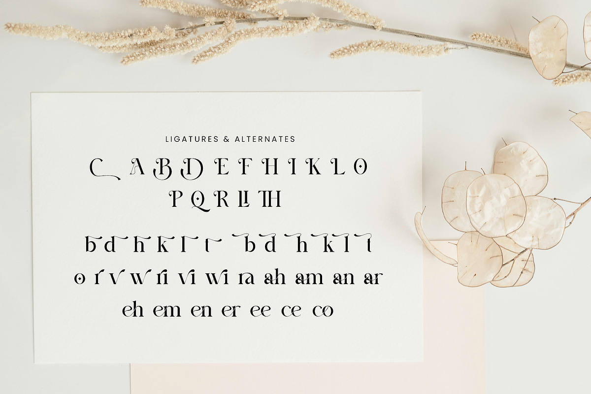 Beezle Modern Serif Font, a Serif Font by Idea Studio (Photo 8 of 10)