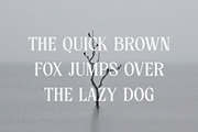 Nelington - Nostalgic Serif Font, a Serif Font by TypeLogue (Thumbnail 2 of 5)