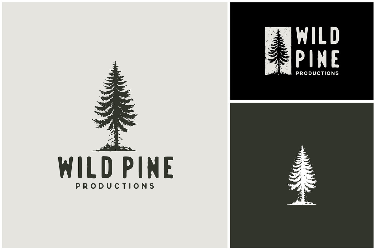 Rustic Wild Dry Pine Cedar Tree Logo, a Branding & Logo Template by Enola99d (Photo 2 of 3)