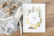 Watercolor Plant Life Cycle, an Education Illustration by MayaNavits (Thumbnail 8 of 17)