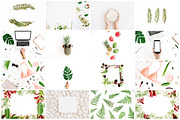 98% OFF | Tropical Bundle | 170 IN 1, a Photo by Floral Deco (Thumbnail 7 of 14)