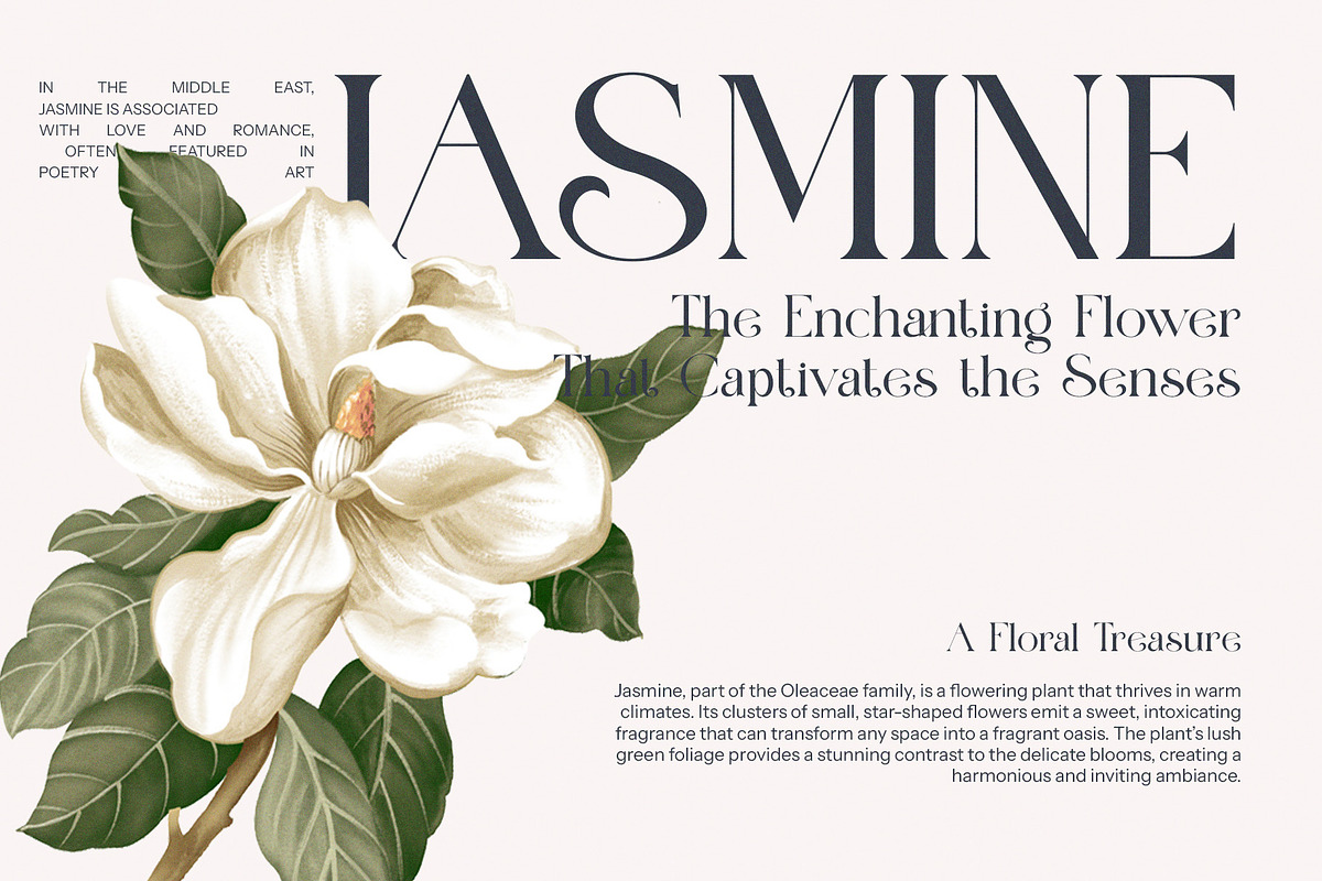 Maglift Elegant Serif Font, a Serif Font by Perfectype (Photo 4 of 8)