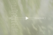 PENUMBRA Soft Green Blur Backgrounds, a Background Graphic by alonahaidash (Thumbnail 4 of 15)