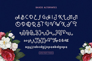 Baxoe Elegant And Fancy Typeface