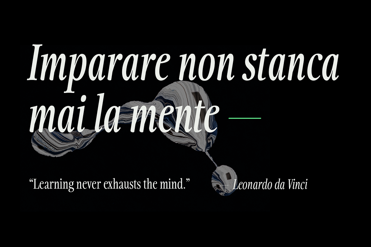 Fionas - 14 Fonts, a Serif Font by Nasir Udin (Photo 12 of 17)