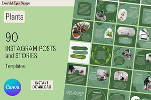 90 Canva Green Plant Theme Instagram