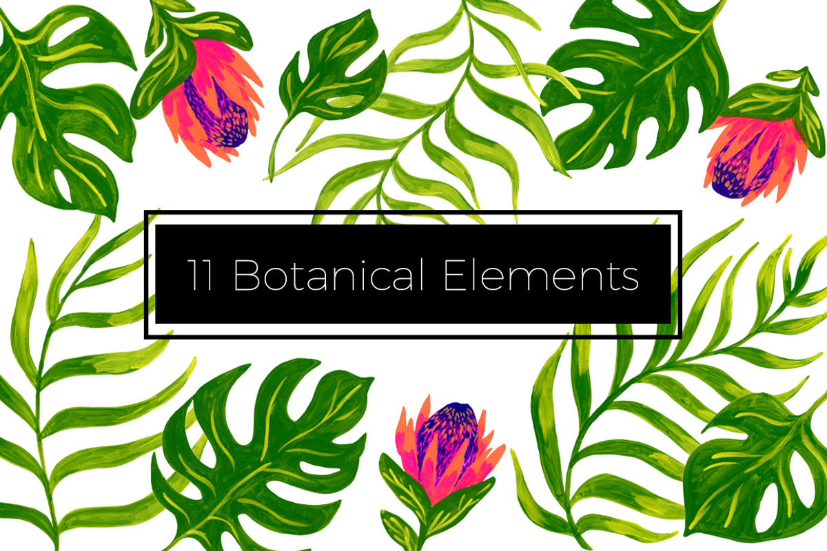 Tropical Design Pack, a Pattern Graphic by Tigrechat Design Lab (Photo 5 of 5)