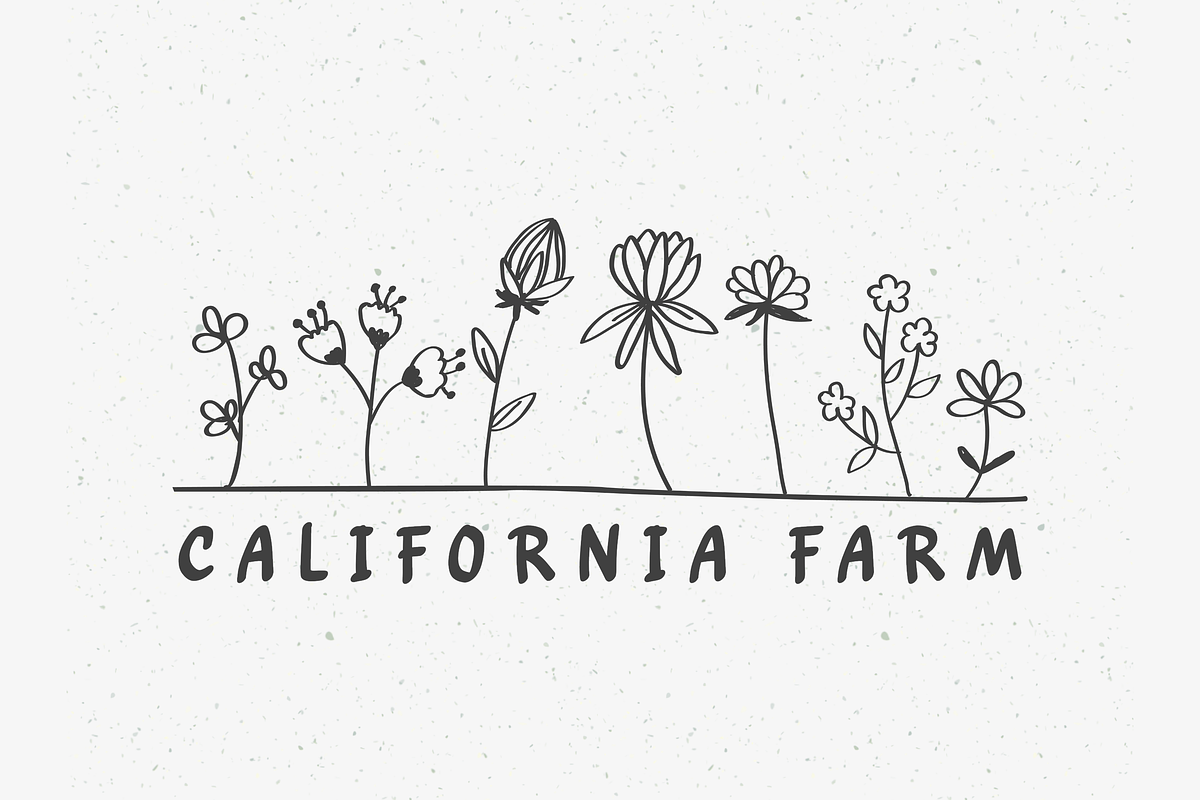 Cacarolla - Handwritten Script Font, a Handwritten Font by Artolabs (Photo 3 of 11)