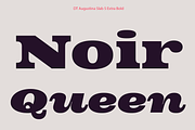 DT Augustina Slab 5 Subfamily, a Slab Serif Font by Deveze Type Foundry (Thumbnail 15 of 31)