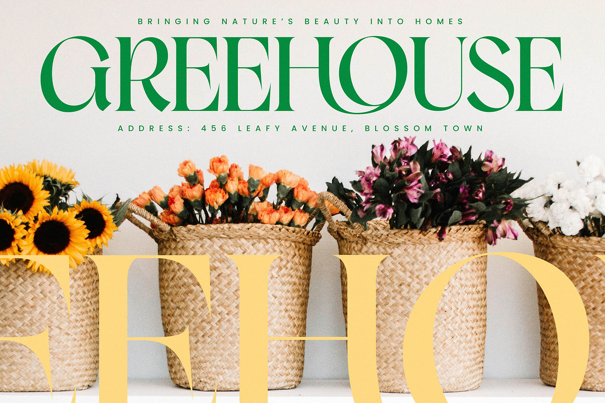 Moves Cabse Modern Display Serif, a Serif Font by timelesstype.co (Photo 5 of 20)