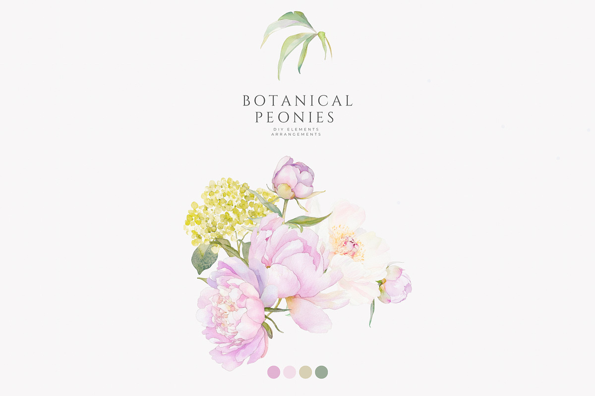 watercolor coquette pink peony set, a Decorative Illustration by Patishop Art (Photo 3 of 10)