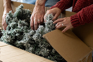 Couple Unpacking Christmas tree, a Holiday Photo by etorres69