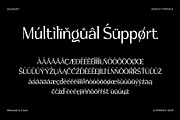 Salicraft, a Serif Font by Gatype (Thumbnail 7 of 10)