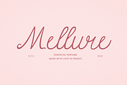 Bluselle - Whimsical Script Font, a Script Font by Zarma Type (Thumbnail 4 of 9)