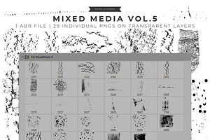 Photoshop Mixed Media Brushes Vol5