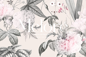 Meloré Seamless Patterns