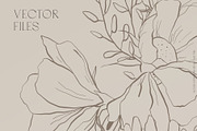 Floral Line Art & Botanical Clipart, an Illustration by January Bloom (Thumbnail 3 of 13)
