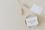 Canva Modern Aesthetic Logo Kit, a Branding & Logo Template by Forth and Wild (Thumbnail 2 of 14)