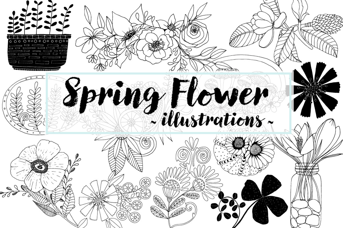 Vector Graphics Bundle, an Animal Illustration by Carrie Stephens Art (Photo 42 of 43)