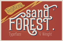 Sand Forest - Retro Display Font