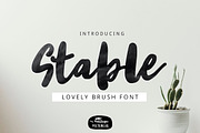 Stable Brush Font, a Script Font by YandiDesigns (Thumbnail 1 of 4)