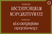 Qolose - Fairytale Serif, a Serif Font by Setara Langit CreativeStd (Thumbnail 10 of 11)