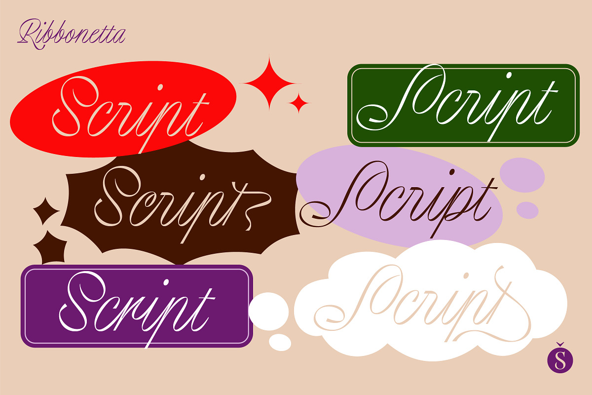 Ribbonetta, a Script Font by Sudtipos (Photo 2 of 6)