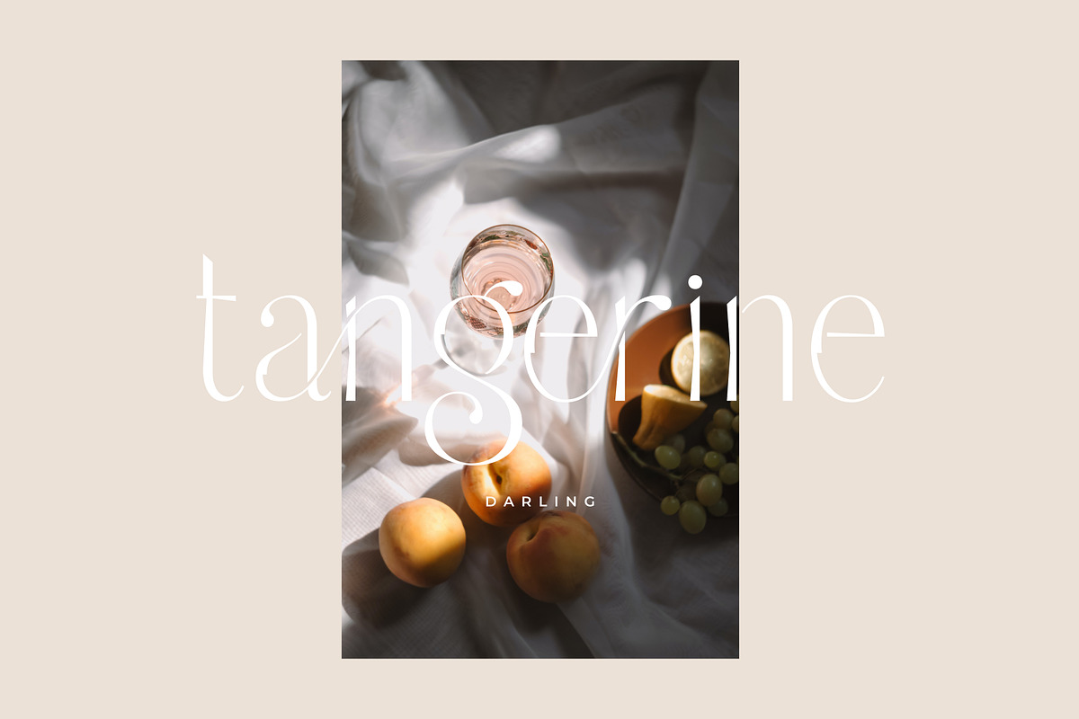 Feathers - Ligature Sans Serif, a Sans Serif Font by Sans & Sons (Photo 8 of 10)