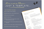 Interior Designer Resume Template, a Resume Template by Climbwithelevator (Thumbnail 4 of 10)