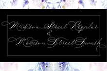 Madison Street Regular & Swash