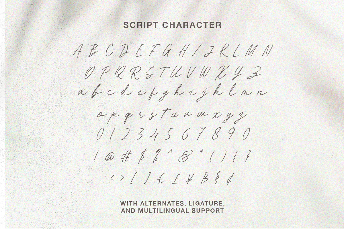 Hartens - Serif Script Font Duo, a Serif Font by Bale Type (Photo 12 of 13)