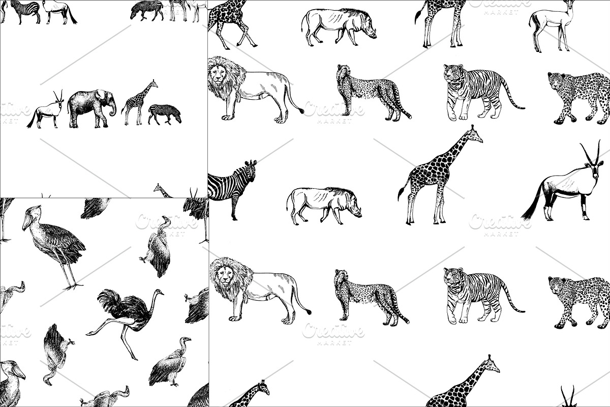 African Animals, an Animal Illustration by Ecaterina Sciuchina (Photo 5 of 7)