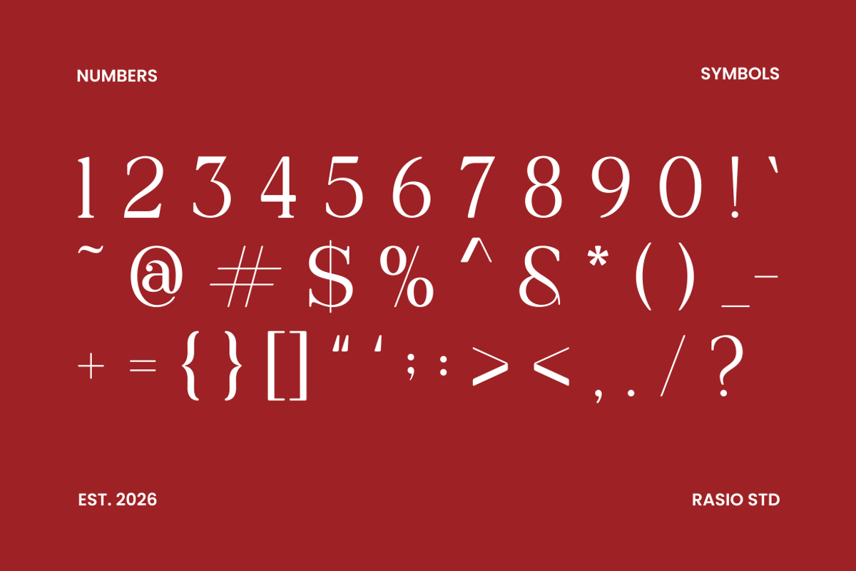 Velique Modern Editorial Serif Font, a Serif Font by Rasio Studio (Photo 4 of 9)