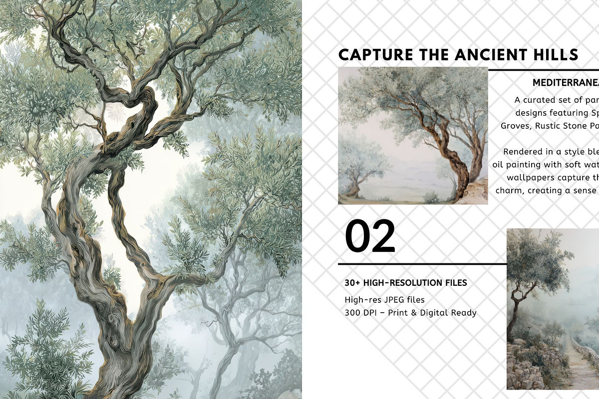 30+ Timeless Olive Grove & Mist, a Decorative Illustration by Virgo Studio (Photo 3 of 6)