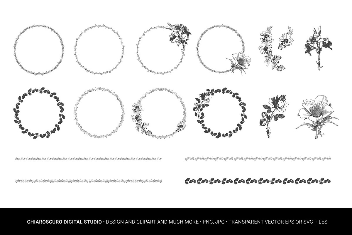 Vintage Botanical Vector Set, a Decorative Illustration by Pingebat (Photo 3 of 18)