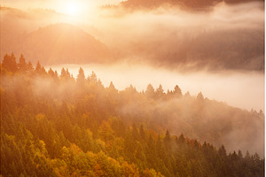 Misty autumn mountain landscape at