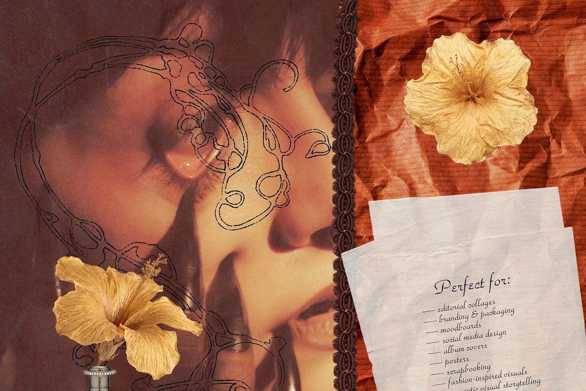 Midnight Archive / Dark Romantic, an Object Graphic by Natali Batu (Photo 10 of 13)