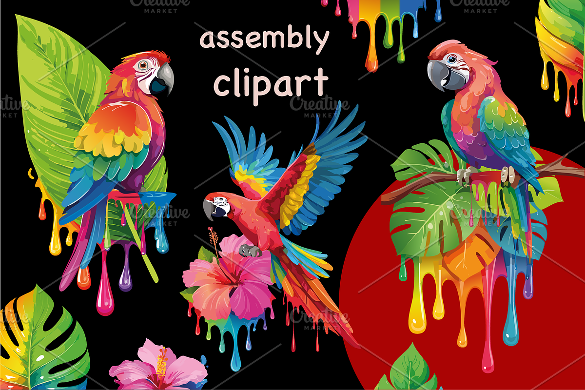 Colorful Tropical Parrots Clipart, an Object Graphic by GraphicRedStudio (Photo 4 of 9)