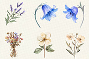 Watercolor Botanical Flower Clipart, an Illustration by OK Design (Thumbnail 3 of 5)