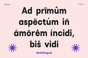 Radeil – Geometric Sans Serif, a Sans Serif Font by Craft Supply Co. (Thumbnail 7 of 8)