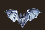 Vampire bats, watercolor/ink/vector, an Animal Illustration by Watercolor_Vector Graphic (Thumbnail 18 of 22)