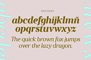 A High Contrast Sharp Serif | Sobria, a Serif Font by Pedroglifos (Thumbnail 6 of 15)