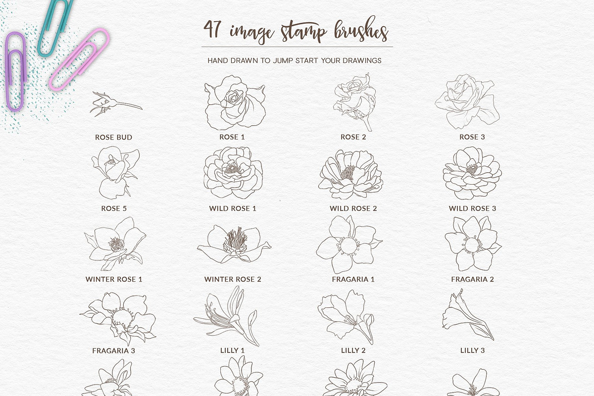 Drawing & Sketching Toolkit, a Brush Add-On by Pretty Little Lines (Photo 11 of 19)