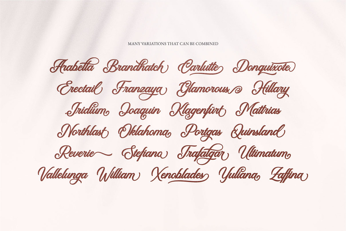 Tequilla Creature | Bold Calligraphy, a Script Font by Ariya Works (Photo 14 of 14)